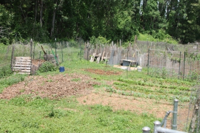 My neglected portion and Virginia's orderly, well tended, well planted portion.